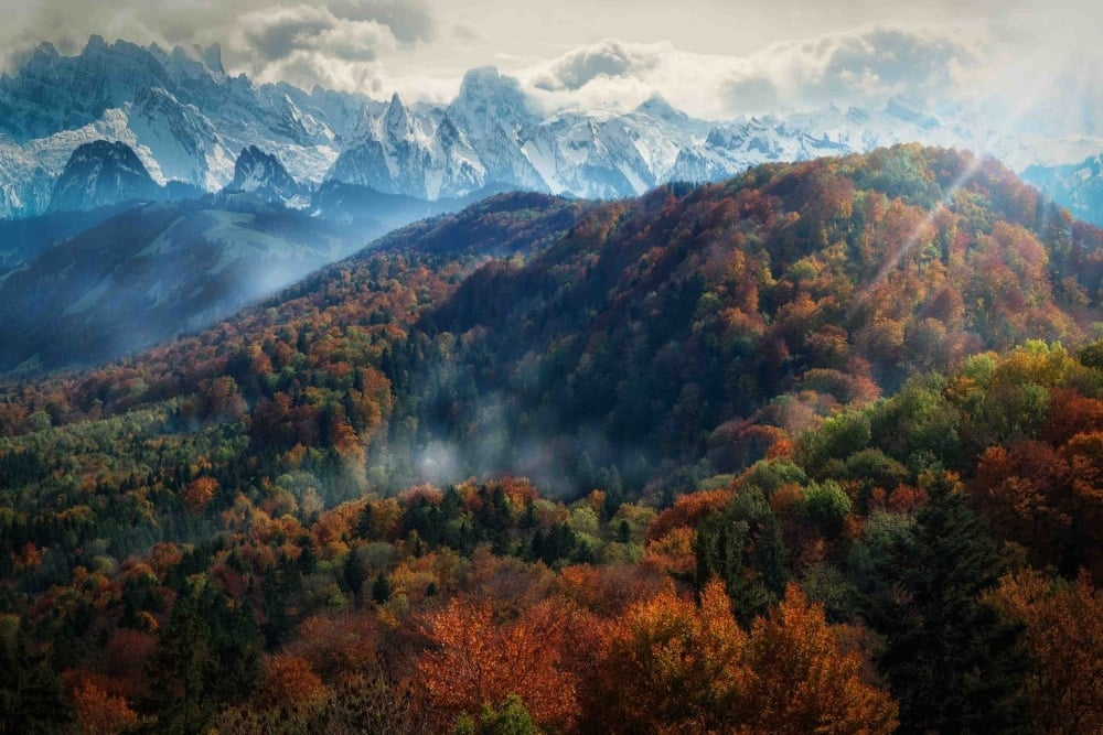 8777260-R3L8T8D-1000-003-John-Wilhelm-01-Autumn-in-the-Alps