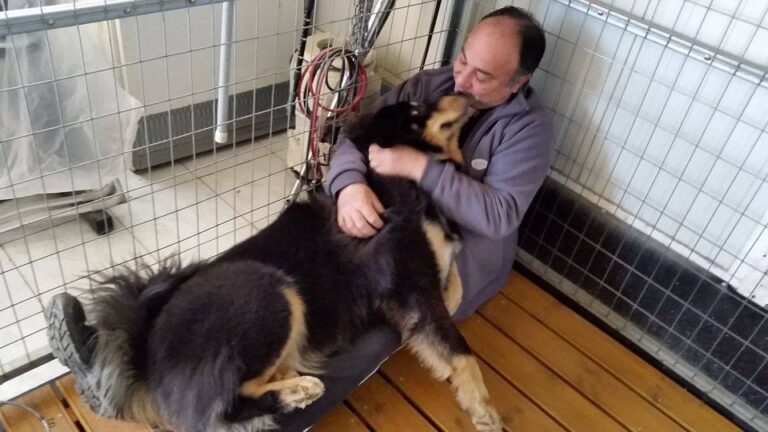 Ο σκύλος σου σε αγαπάει και αυτοί είναι οι 25 τρόποι που σου το δείχνει