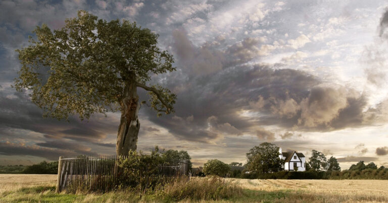 10 δέντρα με πλούσιο παρελθόν και μεγάλη ιστορία