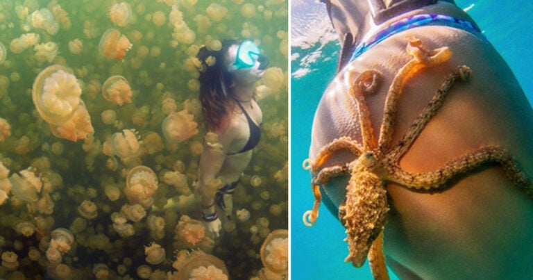 50 καταστάσεις που σίγουρα δεν βλέπεις κάθε μέρα