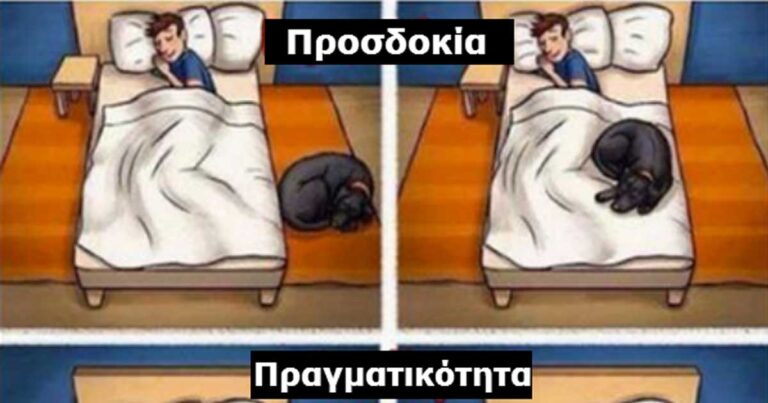 16 πράγματα που μόνο οι ιδιοκτήτες σκύλων μπορούν να καταλάβουν