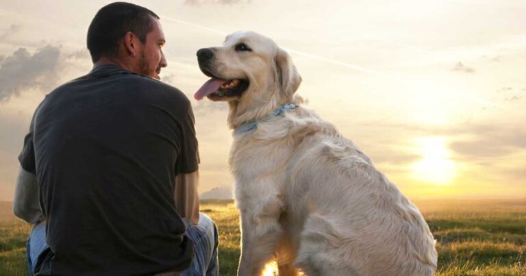 Για μένα ΔΕΝ είναι «Απλά Ένας Σκύλος»