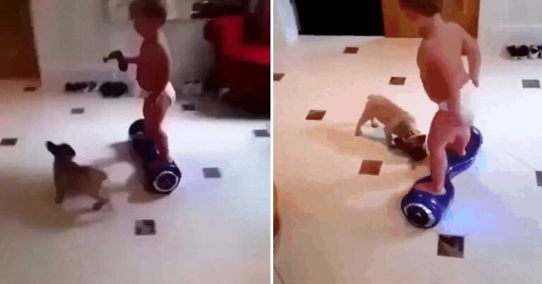 Ακόμη δεν έμαθε να περπατάει και καβαλάει ένα μικρό segway!
