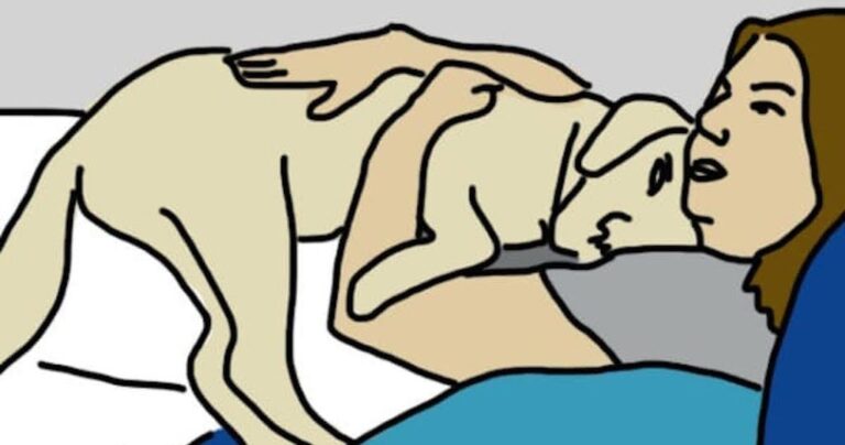 10 τρόποι που ο σκύλος σας δείχνει ότι σας αγαπάει