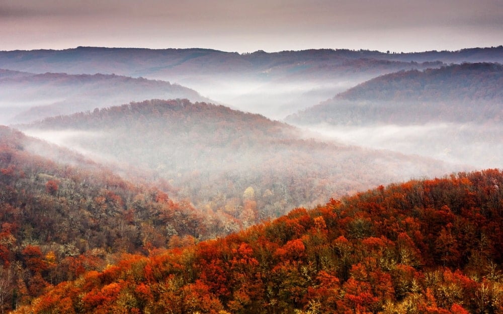 8781760-R3L8T8D-1000-brown-autumn-scenery