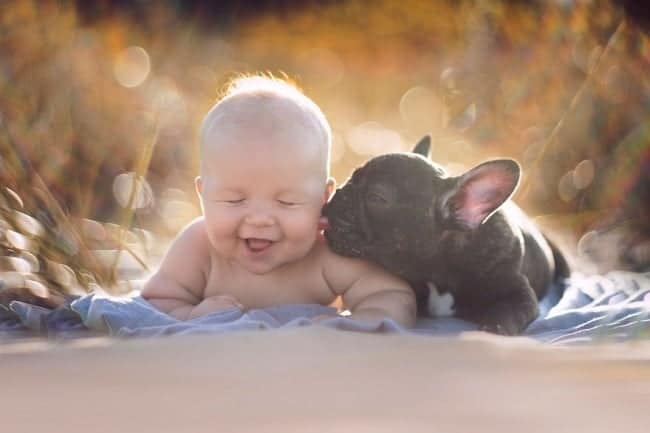 2665110-R3L8T8D-650-452010-R3L8T8D-650-baby-dog-friendship-french-bulldog-ivette-ivens-1-2