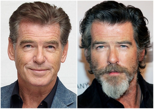 15753560-R3L8T8D-650-brosnan