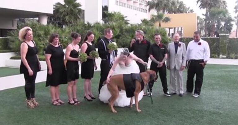 Η απόλυτη συλλογή με γαμήλια fails!