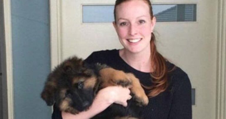 Δείτε πως έγινε αυτός ο Γερμανικός Ποιμενικός σε 8 μόλις μήνες!