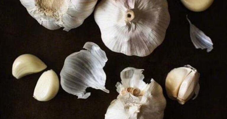 9 διατροφικοί μύθοι και αλήθειες που πρέπει να γνωρίζετε!