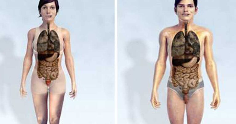 Οι τρομακτικές επιδράσεις του τσιγάρου στο σώμα σε ένα γράφημα