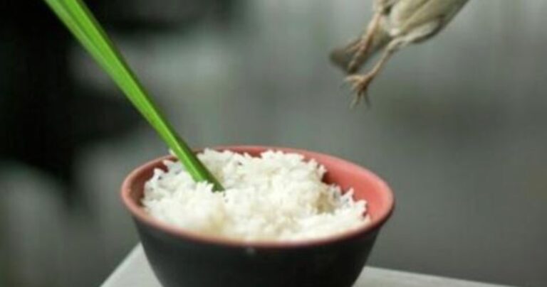 12 συνήθειες των Κινέζων που μπορεί να σοκάρουν στους ξένους αλλά είναι απόλυτα φυσιολογικές στην Κίνα!