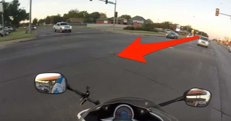 Πήδηξε από τη μοτοσικλέτα για να σώσει ένα μικρό γατάκι! Στο 0.45 η καρδιά μας σταμάτησε!