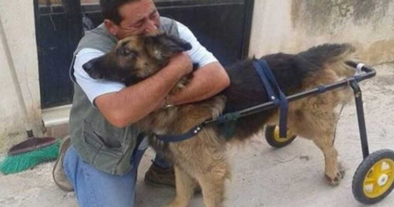 Χάρη στον Βασίλη Τζιγκούρα βλέπει τον σκύλο του να περπατάει ξανά και ξεσπάει!