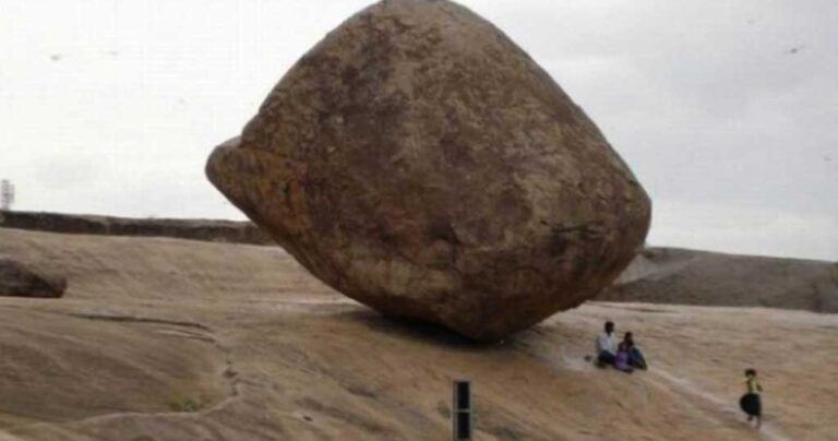 28 φωτογραφίες που αποδεικνύουν ότι η ανθρώπινη βλακεία είναι πραγματικά ανίκητη.