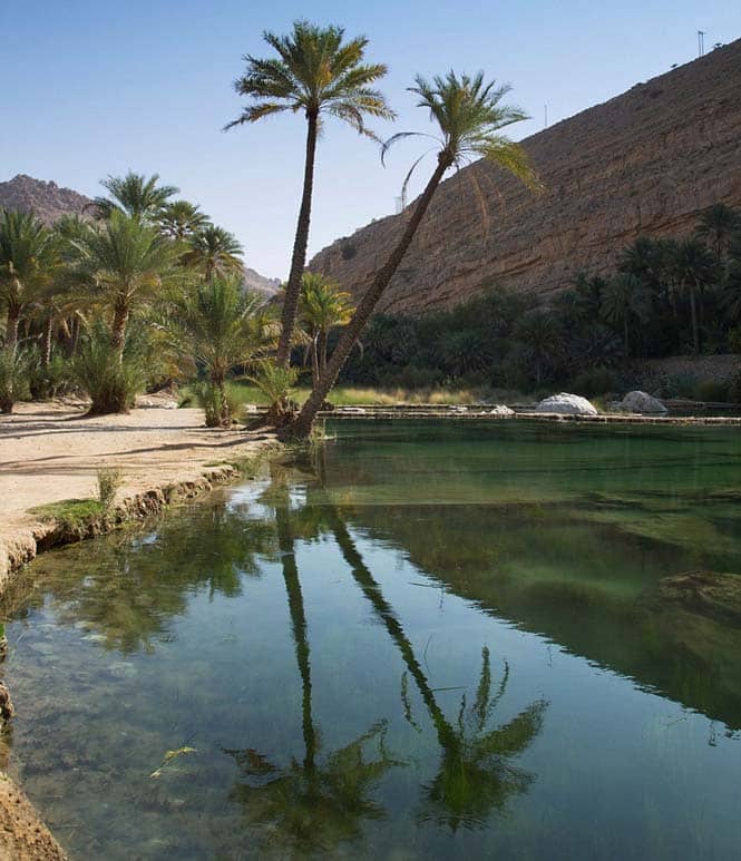 apithani-oasi-oman-06