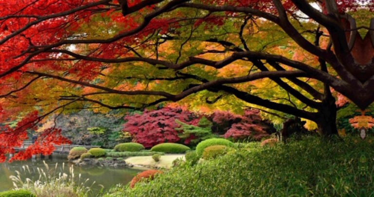 20 μέρη που είναι πραγματικά πανέμορφα το φθινόπωρο