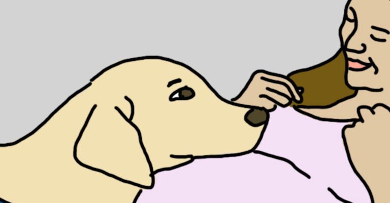 Έχουν τελικά τα σκυλιά έκτη αίσθηση; Δείτε μερικές από τις “υπερδυνάμεις” που διαθέτουν!