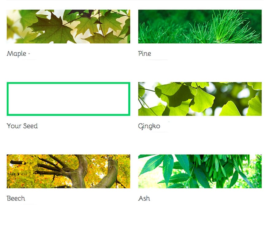 bios-urn-tree-after-life-biodegradable-1