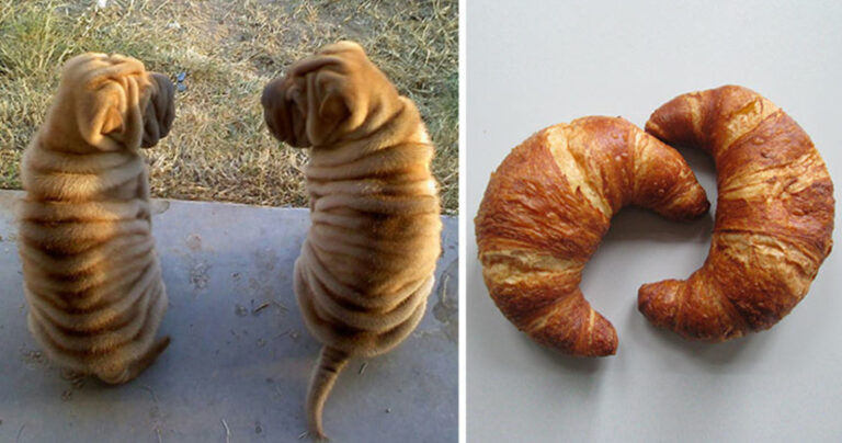 25 παράξενες εικόνες που παραπέμπουν σε άλλα πράγματα!