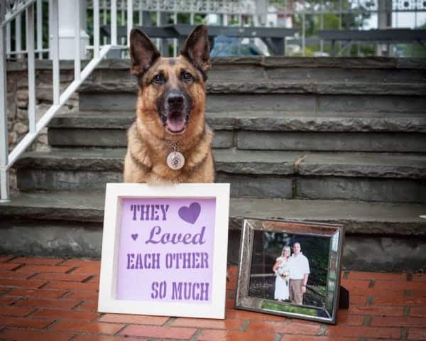 fallen officer honored by wife 1123653146