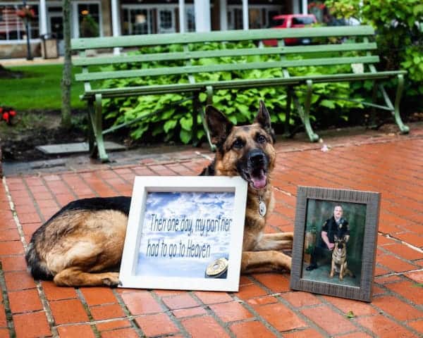 fallen officer honored by wife 1141121218