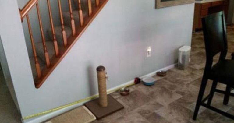 Αυτός ο δημιουργικός ιδιοκτήτης έφτιαξε το τέλειο σπιτάκι για το σκύλο του!