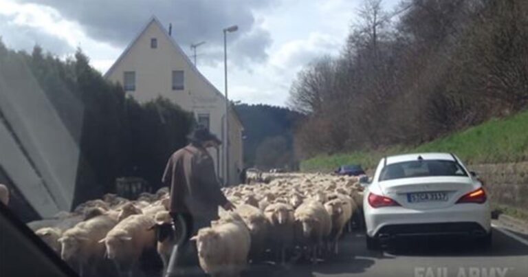 Η απόλυτη συλλογή με Γερμανικά Fails!