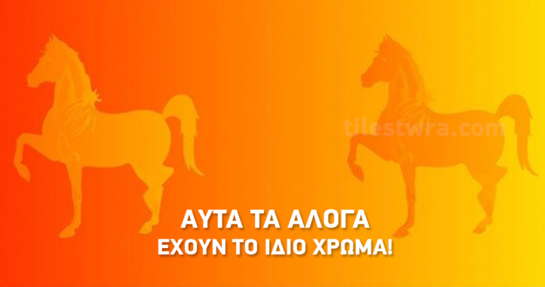 16 εντυπωσιακές και όμορφες χρωματιστές αυταπάτες που θα σας ξεγελάσουν εύκολα