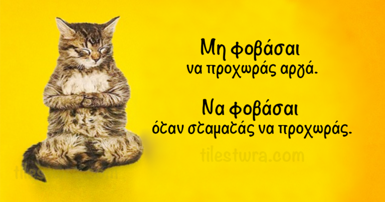 25 συμβουλές της βουδιστικής φιλοσοφίας του Ζεν που θα φέρουν την ηρεμία στην ψυχή σας