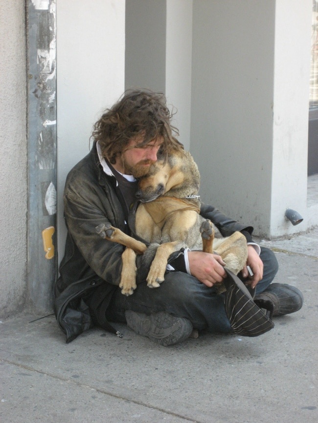 772005-650-1446123823homeless-dogs-and-owners-1