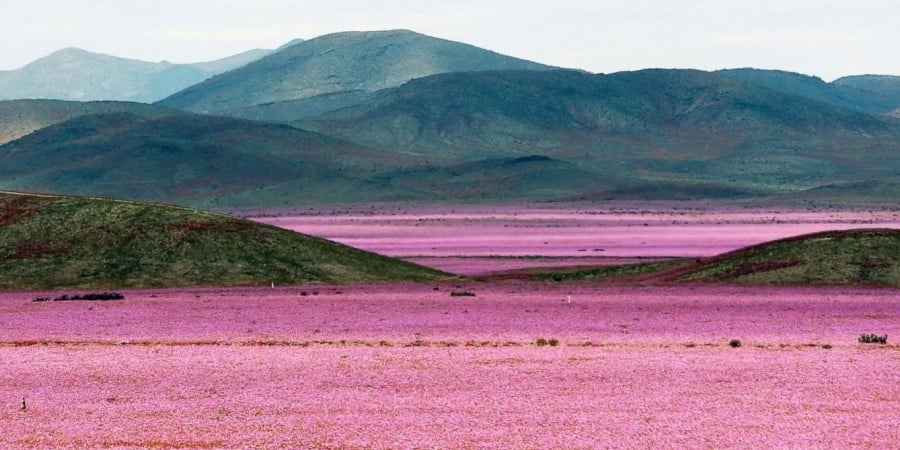 3515210-900-1446552258EPA_atacama_desert_01_jef_151029_12x5_1600