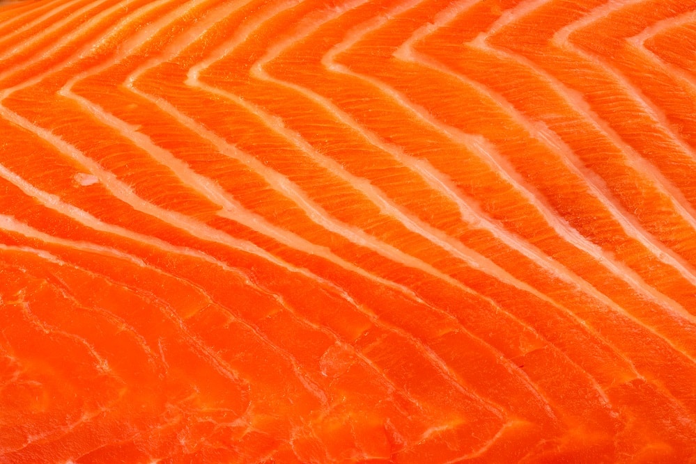 Close up of raw salmon meat, studio shot