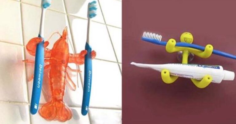 Οι πιο ιδιαίτερες βάσεις για οδοντόβουρτσες!