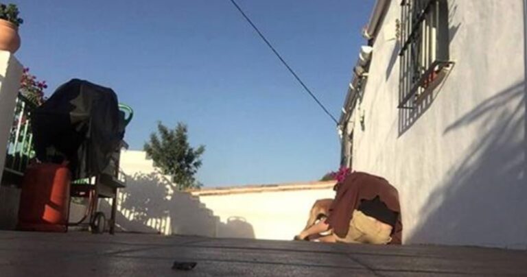 Γύρισε από διακοπές και έκανε μια απίθανη έκπληξη στον σκύλο του!