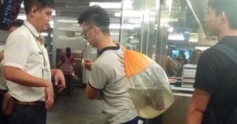 Παράξενες καταστάσεις που μόνο στην Κίνα πετυχαίνεις!