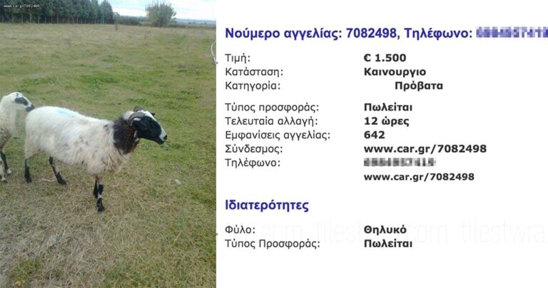 Η απίστευτη αγγελία στο car.gr που βοσκός πουλάει το κοπάδι του!