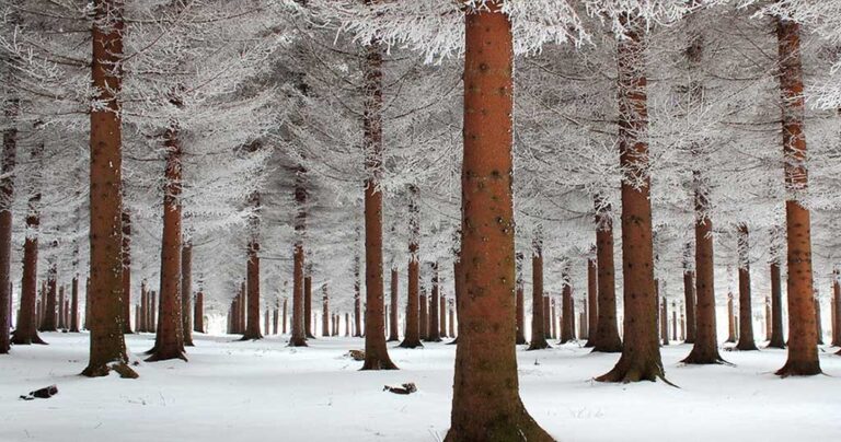 16 φωτογραφίες που αποδεικνύουν ότι ο χειμώνας στην Ρωσία είναι ένα αριστούργημα!