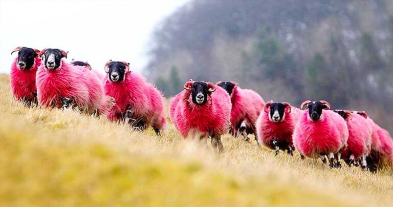 22 φωτογραφίες που αποδεικνύουν πως ο κόσμος είναι πιο όμορφος από ότι νομίζουμε