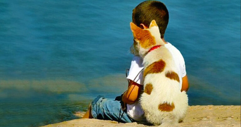 Μια συγκινητική ιστορία αφιερωμένη στην μνήμη του αφοσιωμένου φίλου.