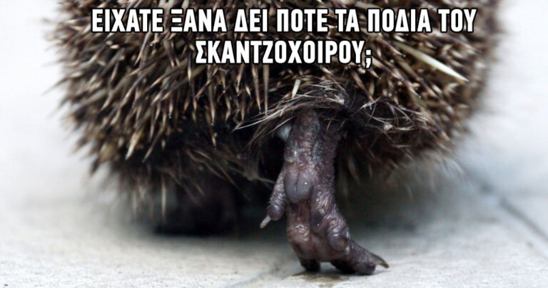 15 υπέροχες φωτογραφίες από την ανεξερεύνητη άγρια φύση της Ρωσίας