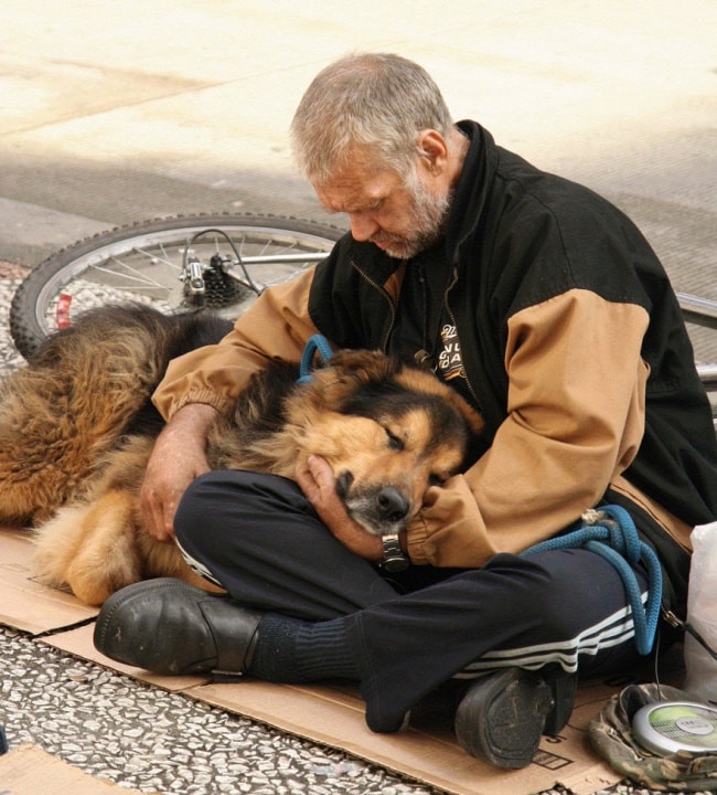 772505-650-1446123823homeless-dogs-and-owners-32