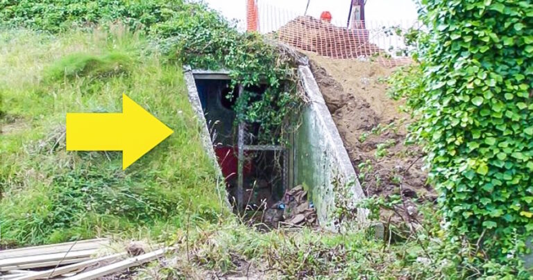 H γυναίκα αγόρασε ένα καταφύγιο και το μετέτρεψε σε κάτι εκπληκτικό!