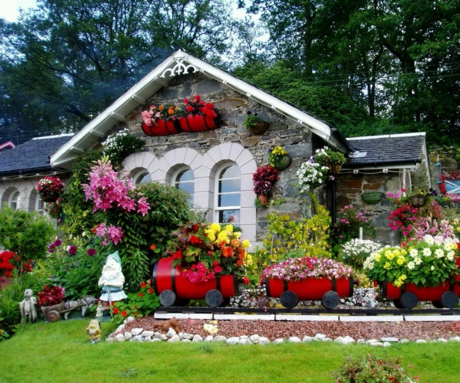 colorful-garden-with-flowers-and-plants-at-frontyard-for-small-home-decorating-inspiration