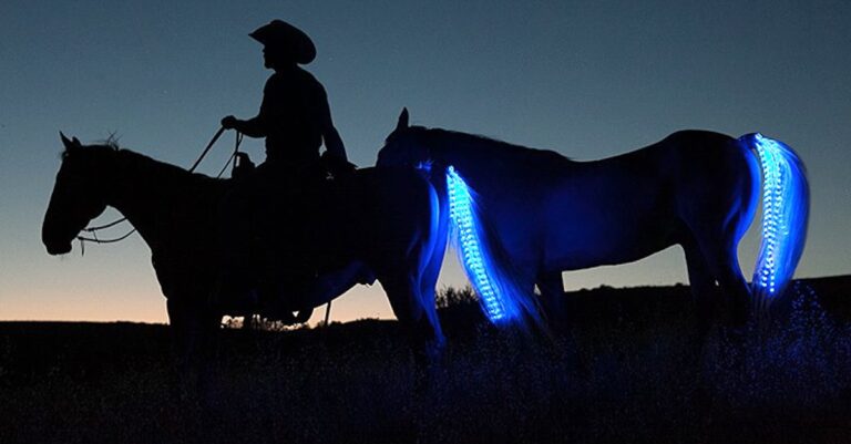 Ίππευε το άλογο του όταν ένα αυτοκίνητο ήρθε από πίσω. Δείτε όμως τι είχε το άλογο του στην…