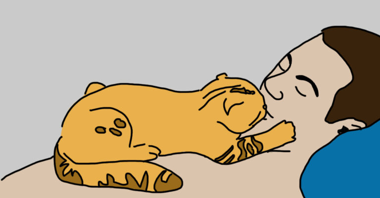 10 τρόποι που η γάτα σας σας δείχνει, ότι σας αγαπάει.