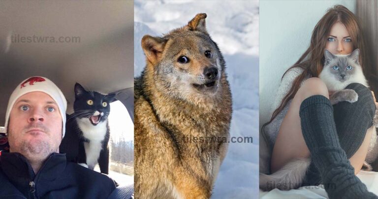 42 φωτογραφίες για να ξεκινήσει άλλη μια εβδομάδα με ηρεμία