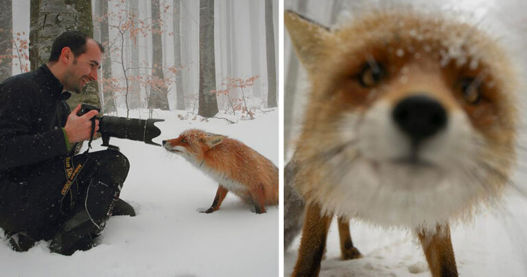 19 εικόνες που δείχνουν ότι το επάγγελμα του φωτογράφου είναι το πιο περιπετειώδες!