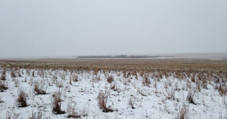 Πόσο πρόβατα υπάρχουν σε αυτή την φωτογραφία;