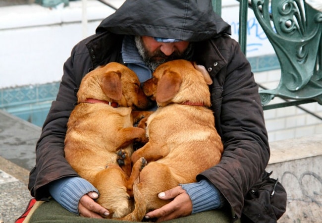 772155-650-1446123823homeless-dogs-and-owners-12
